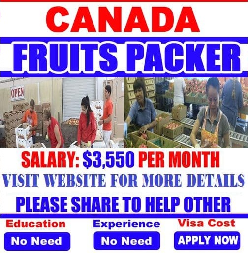 250 Packer Jobs in Canada Food / fruit packing Vacancies 2021